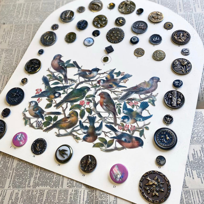 The Feathered Victorian Obsession